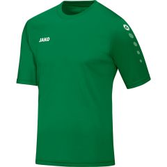 Jersey Team S/S-sport green-104