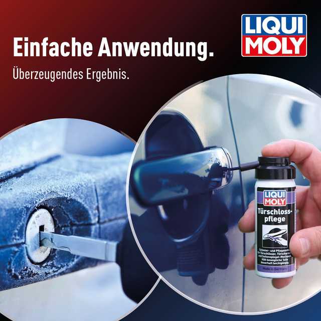 Türschlosspflege