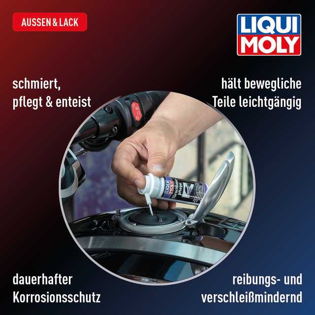 Türschlosspflege