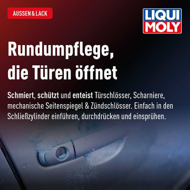 Türschlosspflege