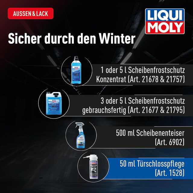 Türschlosspflege