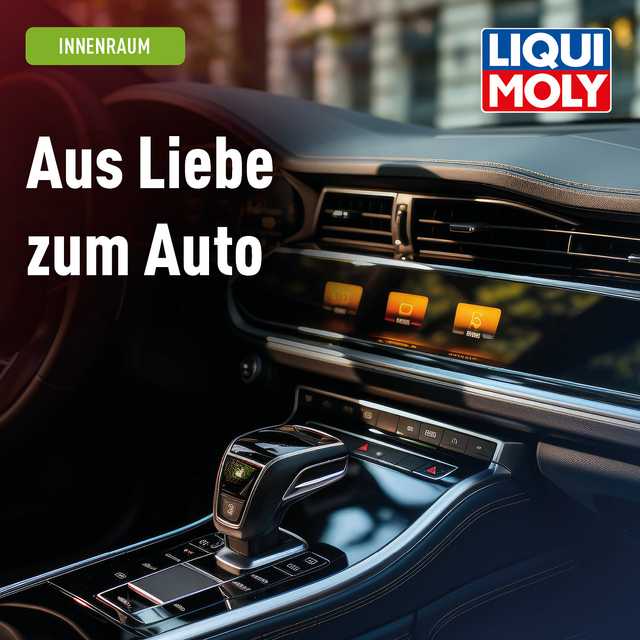 Autoinnenraumreiniger