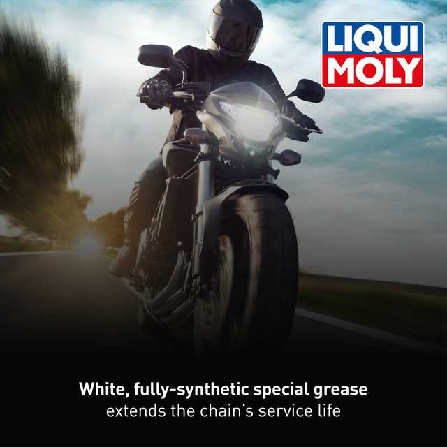 Motorbike Chain Spray white