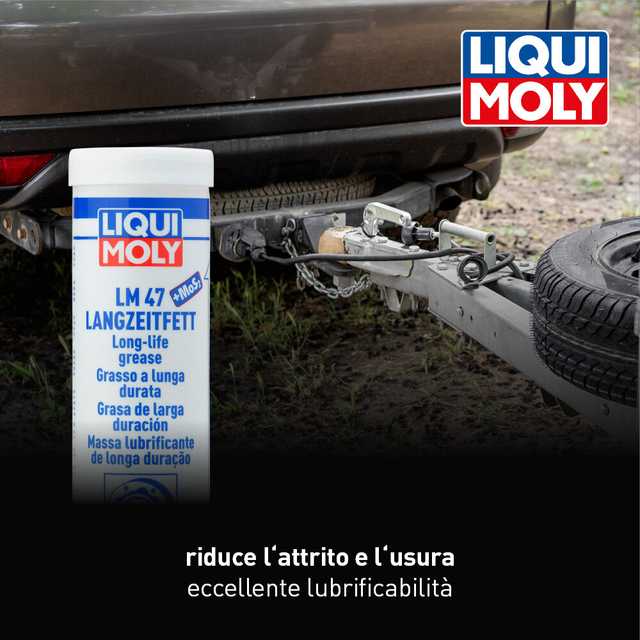 LM 47 Long-Life Grease + MoS2