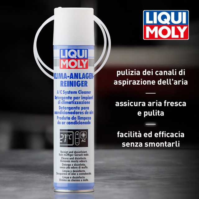 A/C System Cleaner (Spray)