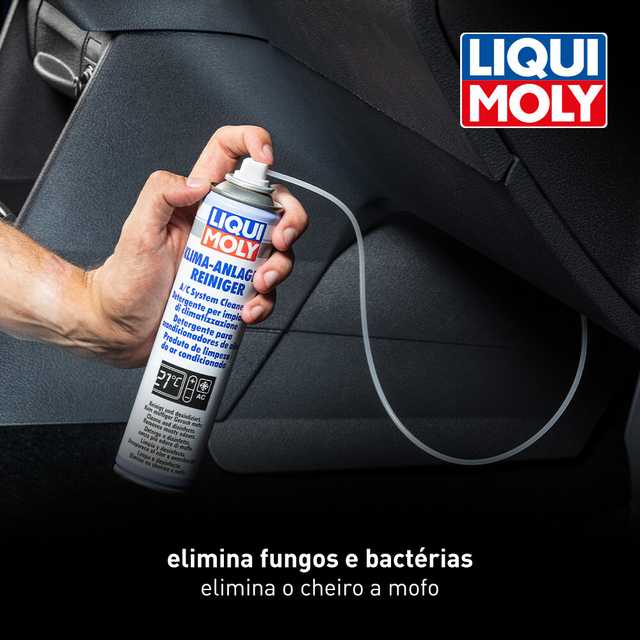 A/C System Cleaner (Spray)