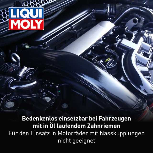 Motorspülung