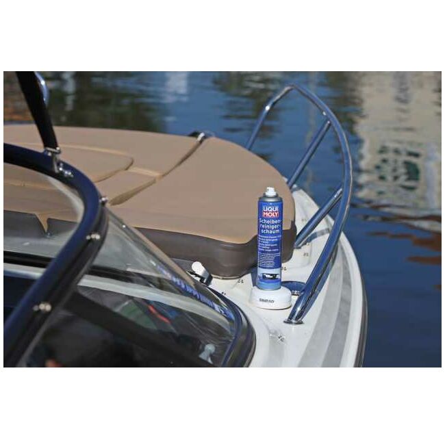 Windshield Cleaner Foam