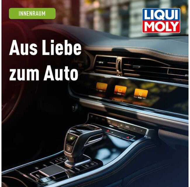 Autoinnenraumreiniger