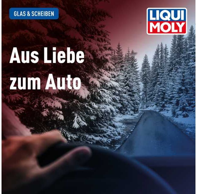 Scheibenfrostschutz gebrauchsfertig -18 °C
