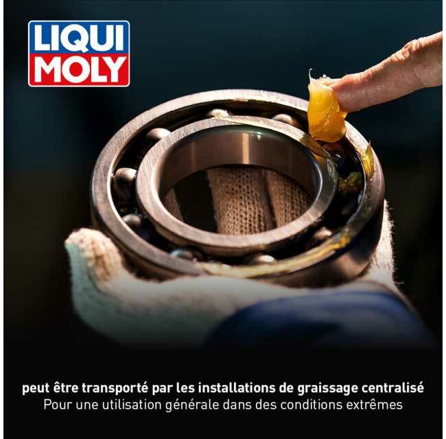 LM 47 Long-Life Grease + MoS2