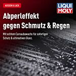 Hart- & Schutzwachs