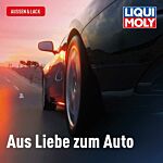 Motorraumreiniger