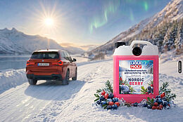 Scheibenfrostschutz Nordic Berry: Klare Sicht und frischer Beerenduft