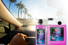 Tropical Shower – klare Sicht trifft Urlaubsfeeling