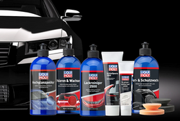 Conditioning and care of the vehicle paintwork