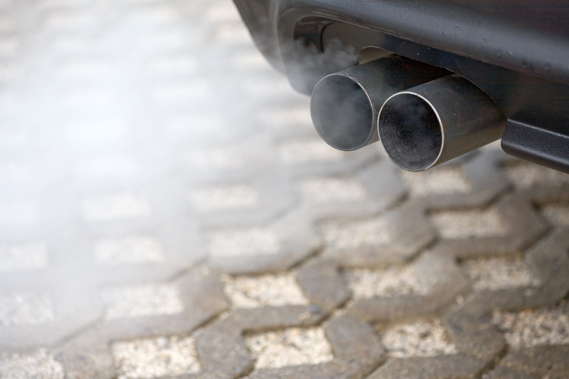 LIQUI MOLY Dieselpartikelfilterschutz (5148) ab 7,37 € (Februar