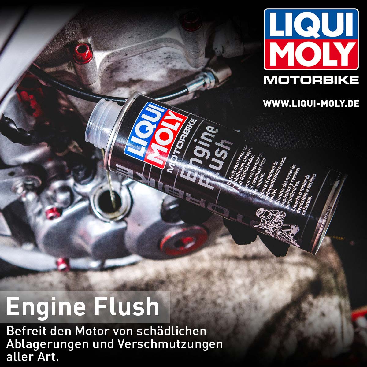 [Translate to Englisch:] LIQUI MOLY Engine Flush
