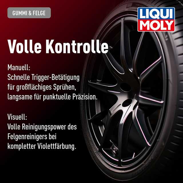 Felgenreiniger Spezial