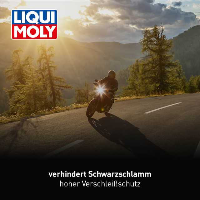 Motorbike 4T 20W-50 Street