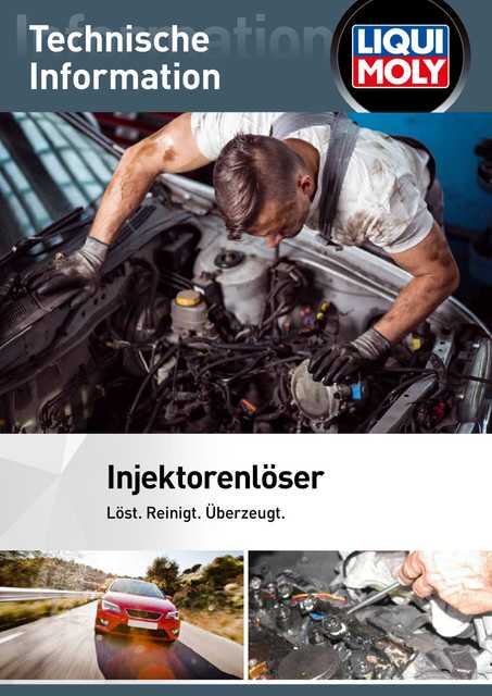 Technische Information Injektorenlöser