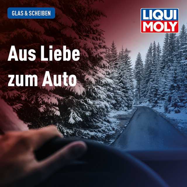 Scheibenfrostschutz gebrauchsfertig -20 °C