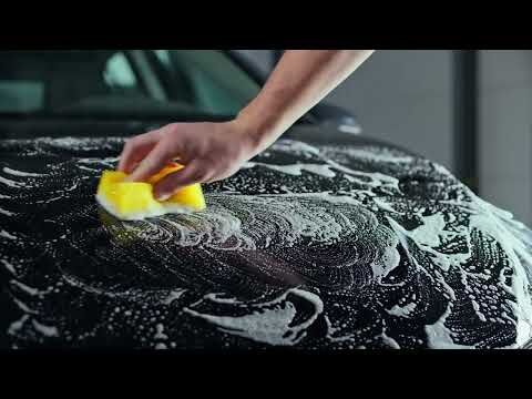 Insect Remover