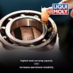 LM 47 Long-Life Grease + MoS2