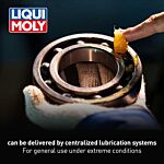 LM 47 Long-Life Grease + MoS2