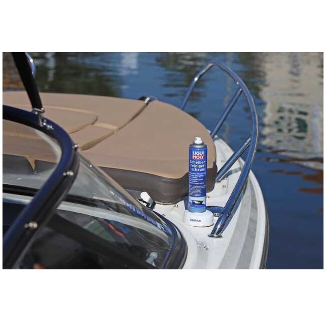 Windshield Cleaner Foam