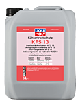 Coolant & Antifreeze KFS 13