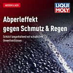 Polieren & Wachsen