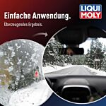 Scheibenfrostschutz gebrauchsfertig -20 °C