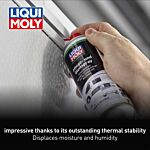 Camping Care and Lubricating Spray