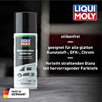 Camping Regenstreifenentferner