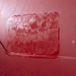 Paint Restorer