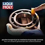 LM 47 Graisse à longue durée + MoS2